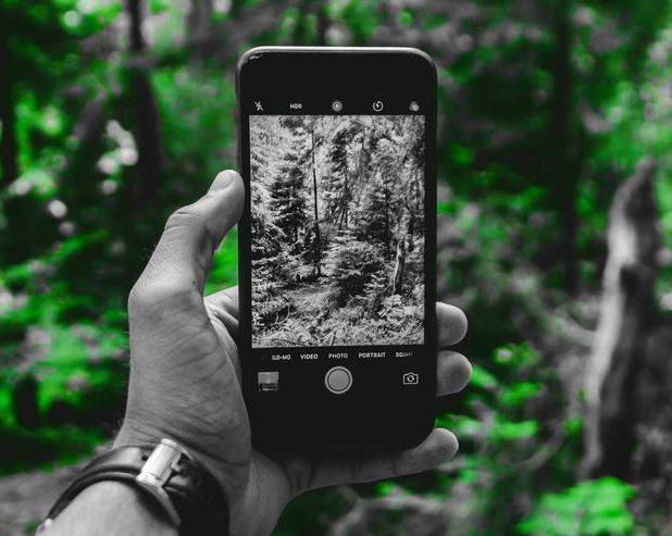 Apple запускает программу ремонта для решения проблемы с камерой iPhone 14 Plus